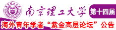 鸡巴插骚逼免费视频南京理工大学第十四届海外青年学者紫金论坛诚邀海内外英才！